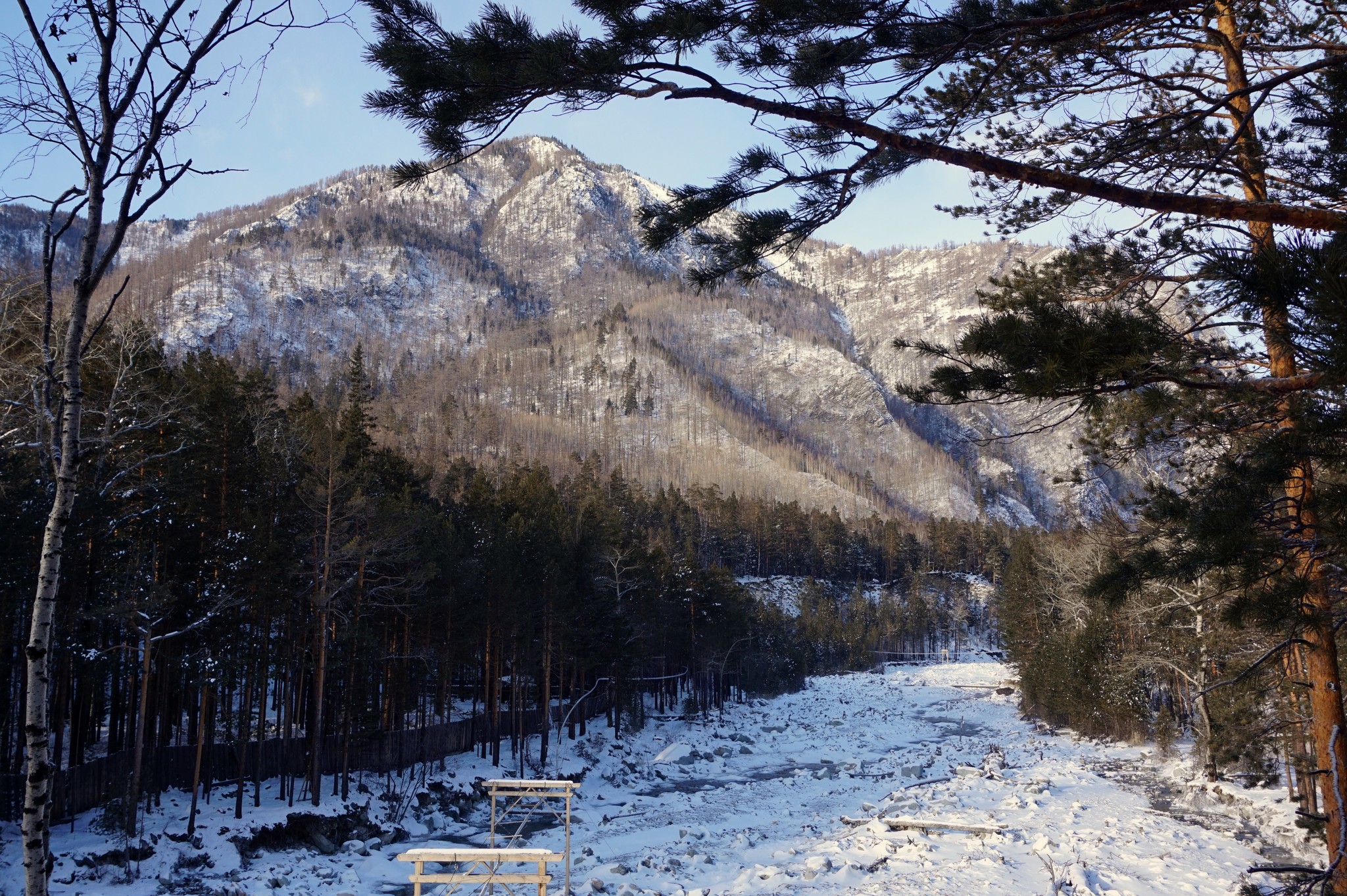 Усадьба сороковиковых аршан фото