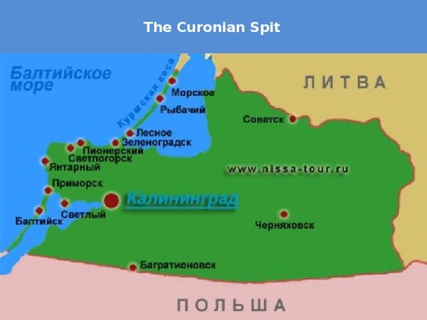 Карта калининграда с соседними странами