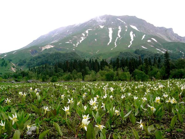 Адыгея в мае фото