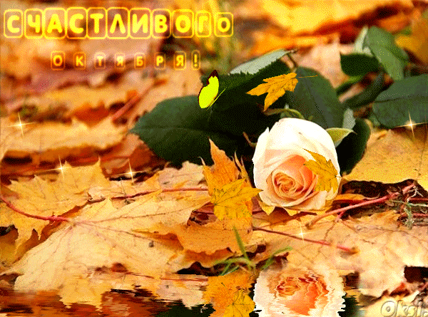 Поздравлениями для, с последним днем осени открытка