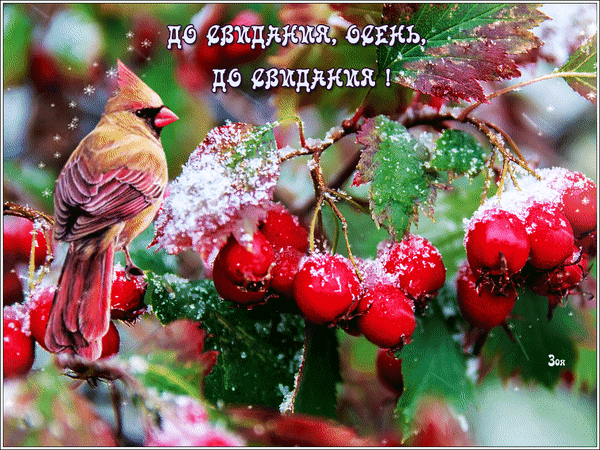 желтый лист задумался о чем то нежно подставляя. Смотреть фото желтый лист задумался о чем то нежно подставляя. Смотреть картинку желтый лист задумался о чем то нежно подставляя. Картинка про желтый лист задумался о чем то нежно подставляя. Фото желтый лист задумался о чем то нежно подставляя