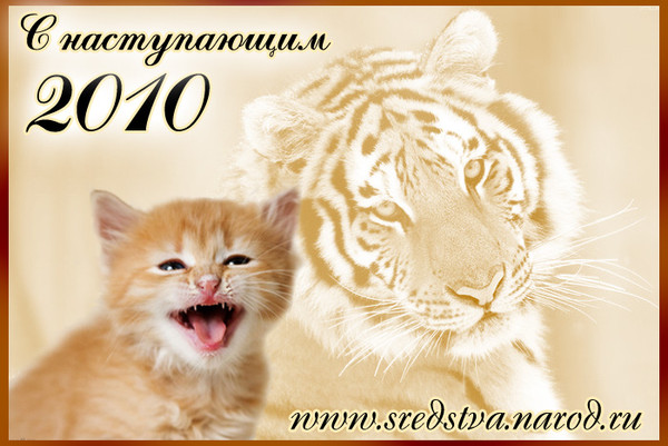 С наступающим 2010 годом тигра