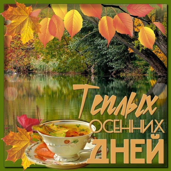 Хорошего Осеннего Солнечного Дня Картинки