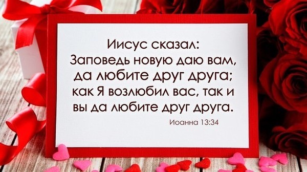 Да любите друг друга картинки
