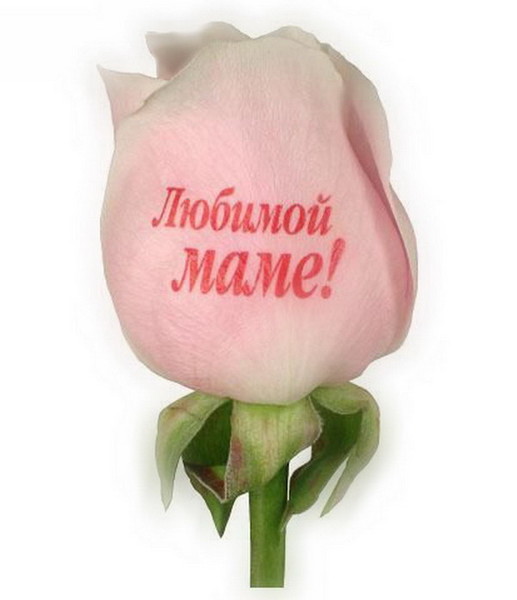 Картинка с надписью любимой маме