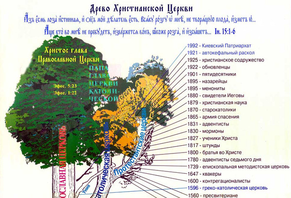 Древо христианской церкви картинка