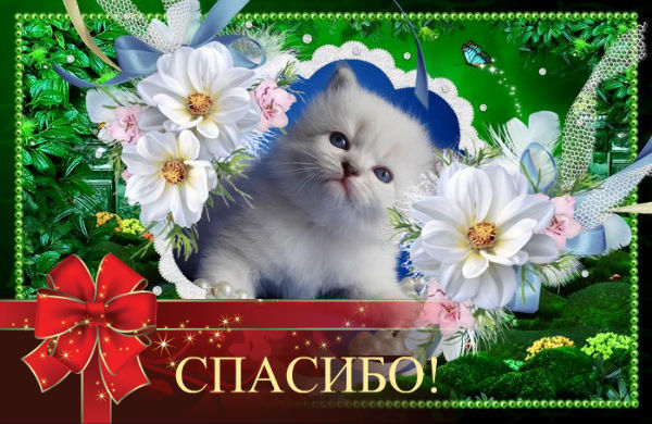 Спасибо брату открытки