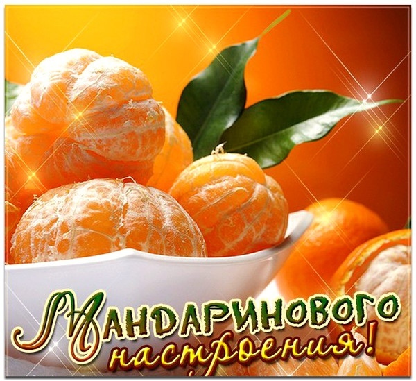 Картинка с днем мандарина