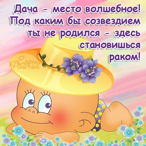 помещена удачи на даче открытка том, что цыгане