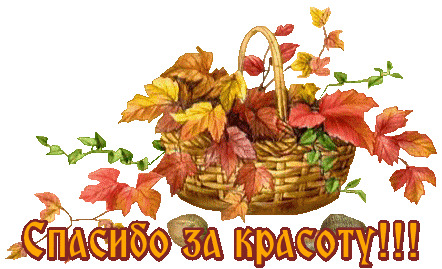Осеннее Спасибо Гифки