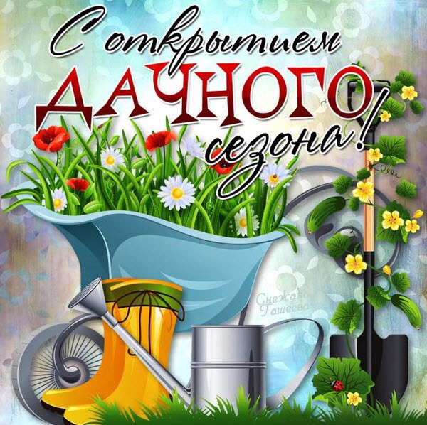 Для дачи открытки, военно