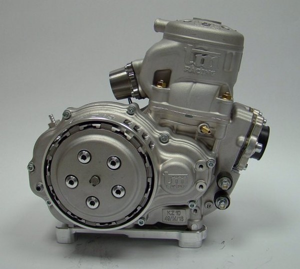 Двигатель forum. TM 125 kz10 двигатель. Мотор для картинга kz 2. TM kz 10b. Мотор kz2 Pavezi.