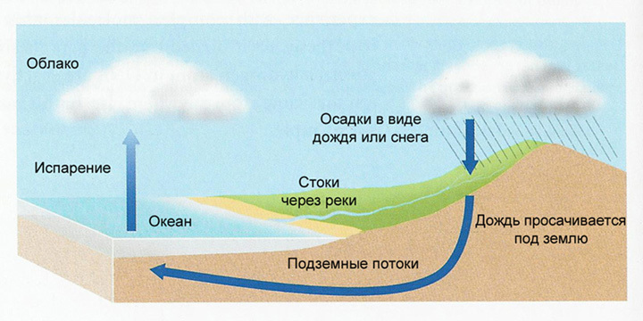 От ⭐ чего зависит скорость испарения жидкости в физике: как происходит с поверхн