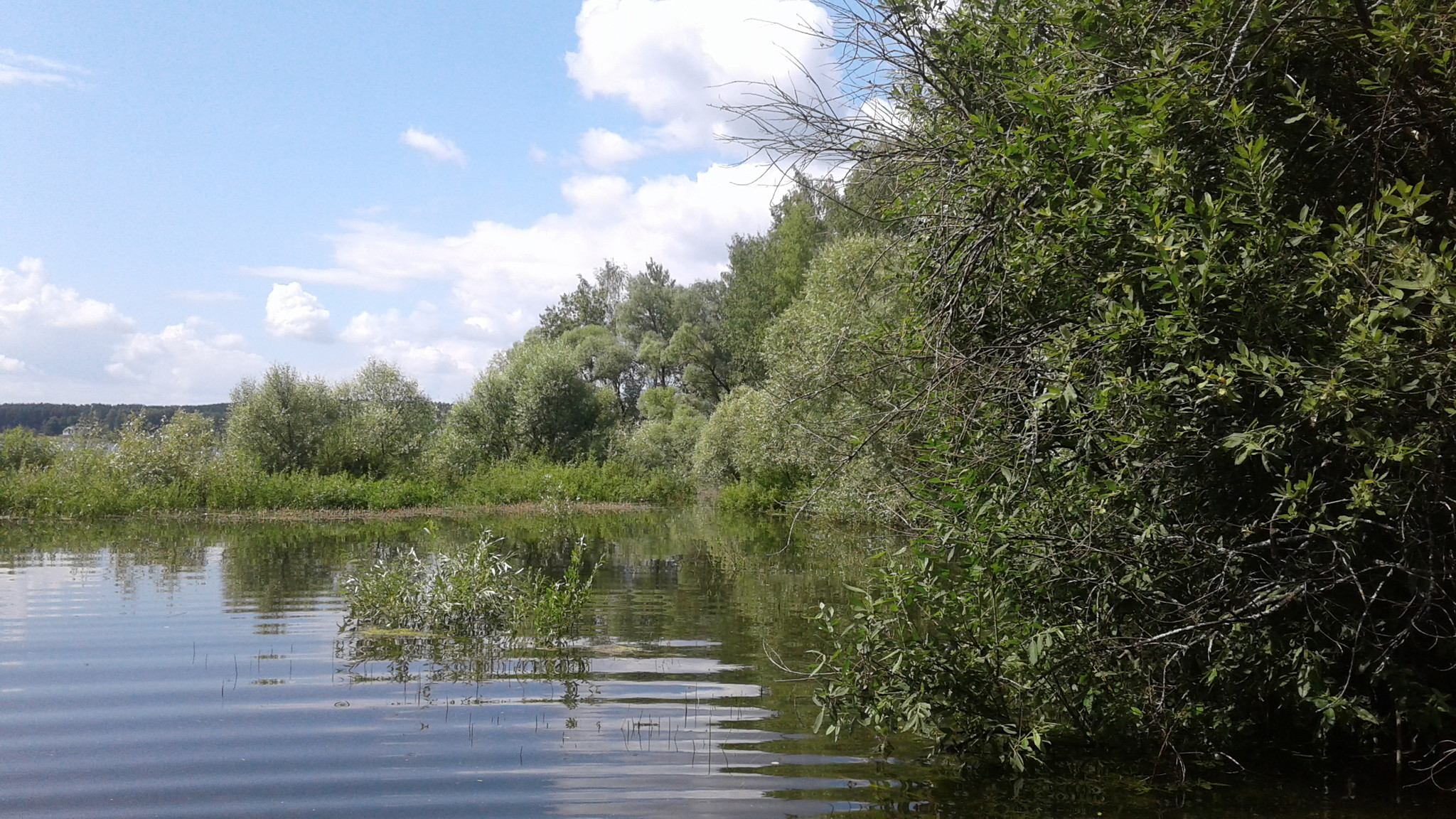 Деревня можайское. Можайский район водохранилище. Можайское водохранилище пляжи. Можайское водохранилище ивы. Дер Юрлово Можайский район.