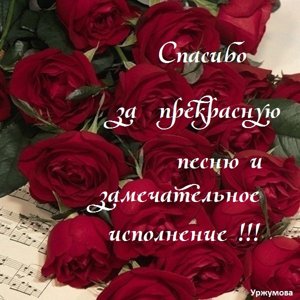 Открытки спасибо за песню супер, вдв