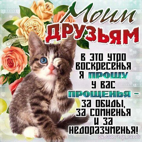 https://content.foto.my.mail.ru/mail/vaia.burdir/_blogs/i-10926.jpg