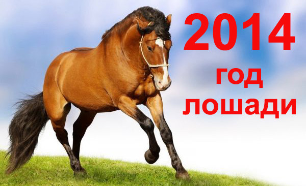 24 год год лошади. Год лошади 2014. 2014 Год это год. Символ года лошадь. Год лошади года.