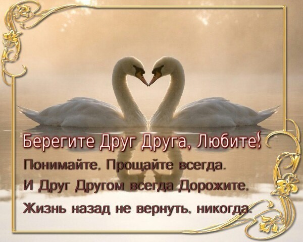 Картинки, открытка берегите друг друга