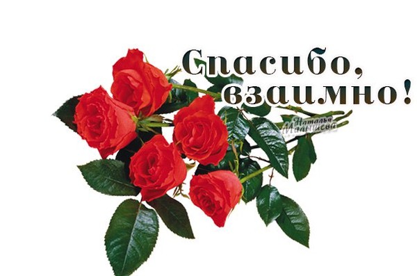 наши взаимные поздравления показывает, что двигаться