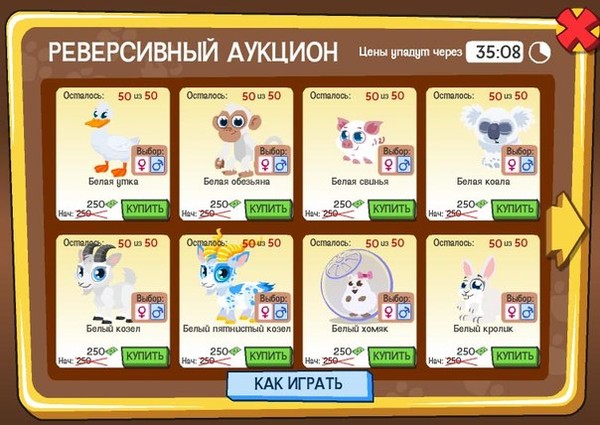 Игра любимчики картинки