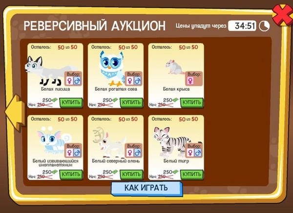 Игра любимчики картинки