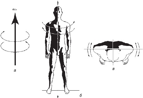 Рис. 6. Упражнение-маятник «Пугало»: а – мыслеобраз, б – вид спереди, в – вид сверху