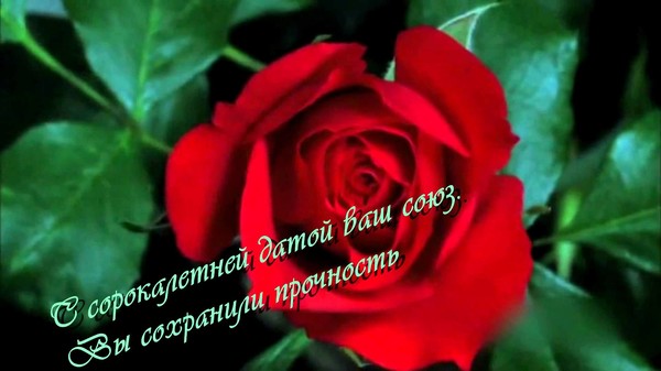 ГИФ ВИДЕО ОТКРЫТКИ С РУБИНОВОЙ СВАДЬБОЙ ВИДЕО ПОЗДРАВЛЕНИЕ СКАЧАТЬ БЕСПЛАТНО ГИФ ВИДЕО ОТКРЫТКИ С РУБИНОВОЙ СВАДЬБОЙ ВИДЕО ПОЗДРАВЛЕНИЕ СКАЧАТЬ БЕСПЛАТНО