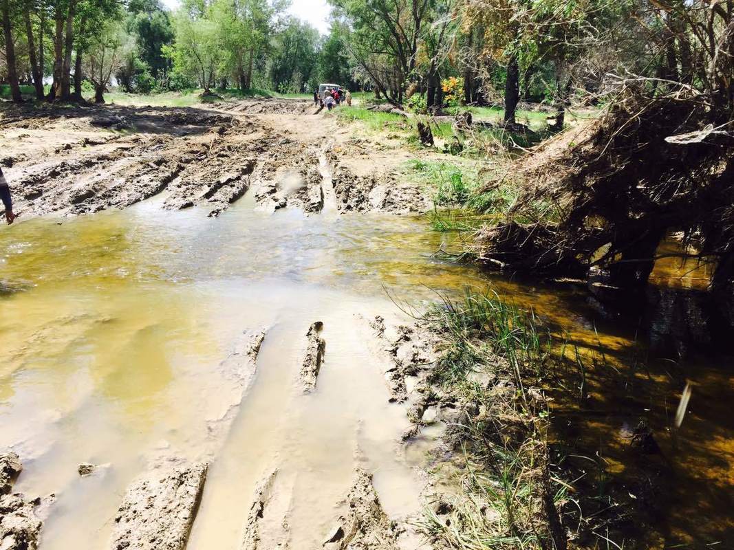 Село оказывается. Село садовое Ахтубинский район Астраханская. Грязная Астрахань. Астраханская грязь. Капустин Яр грязь.