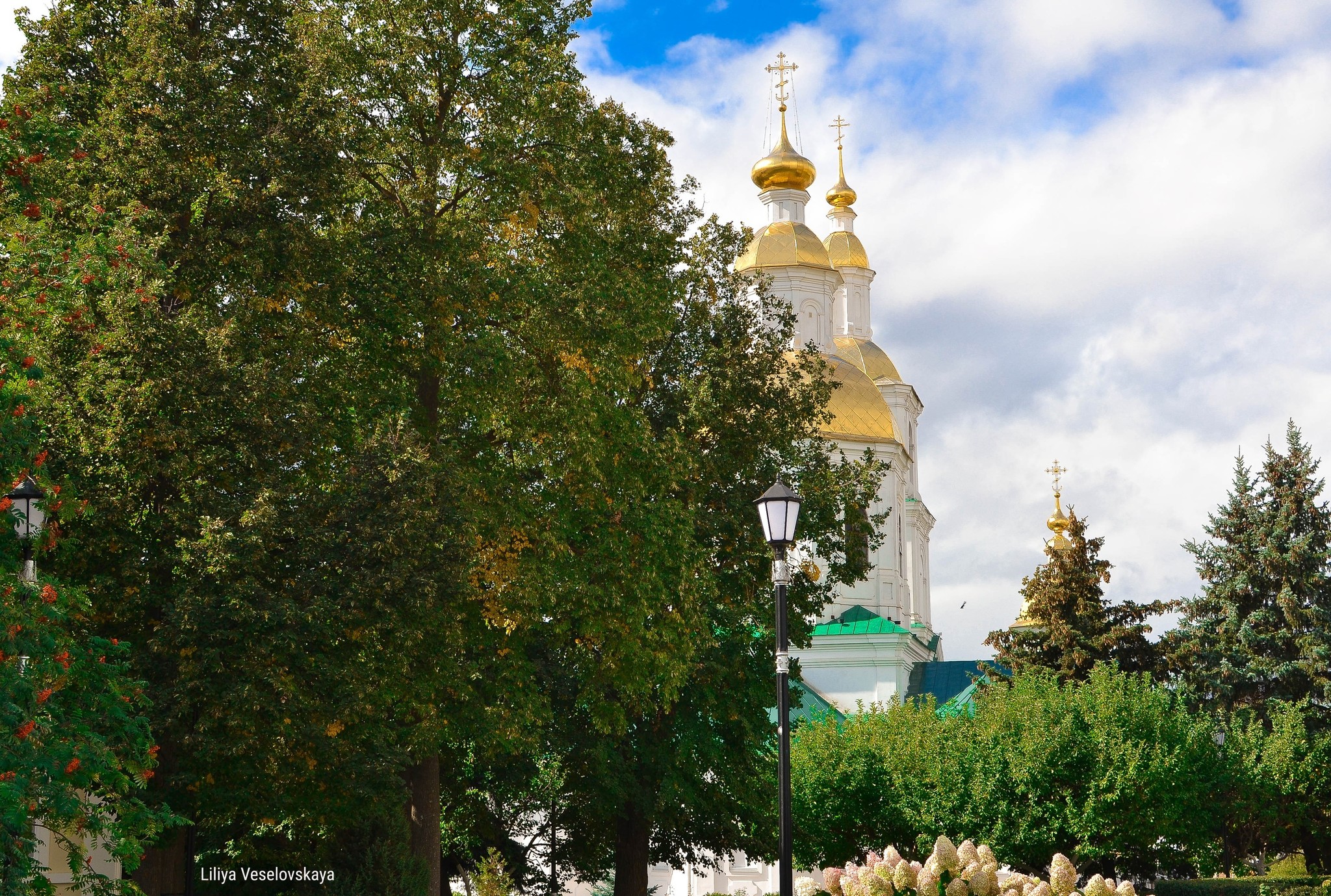 парк победы в дивеево