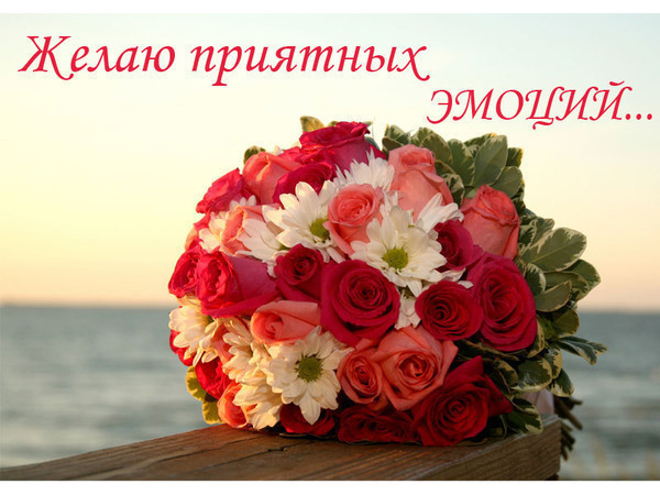 картинки спасибо ирина
