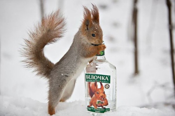 подружки... )))))))))))))))