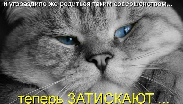 https://content.foto.my.mail.ru/mail/vyachser/_mypagephoto/i-27941.jpg