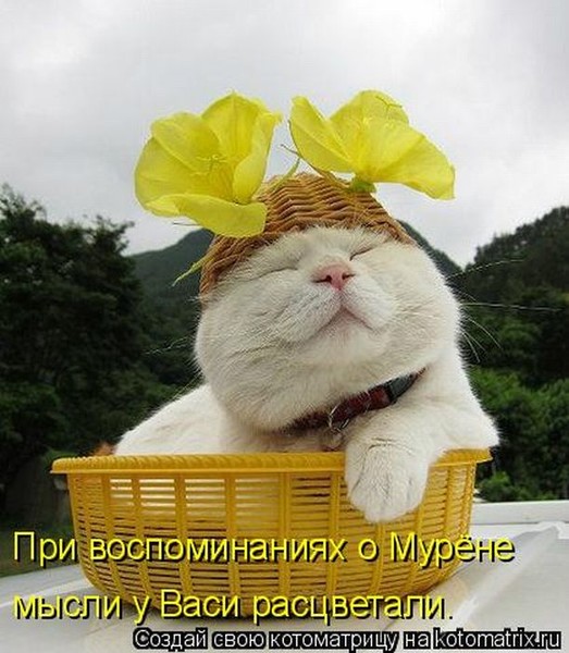 https://content.foto.my.mail.ru/mail/vyachser/_mypagephoto/i-31555.jpg