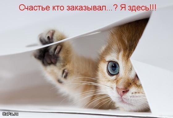 https://content.foto.my.mail.ru/mail/vyachser/_mypagephoto/i-31667.jpg