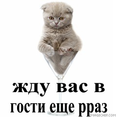 https://content.foto.my.mail.ru/mail/vyachser/_mypagephoto/i-32237.jpg