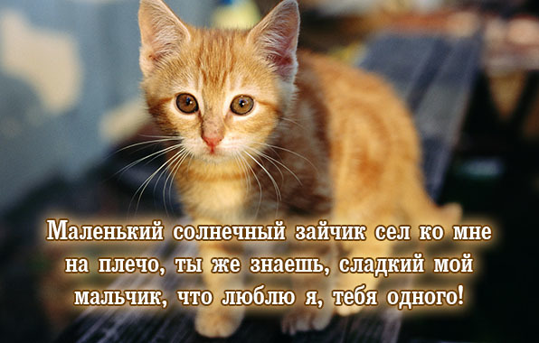 https://content.foto.my.mail.ru/mail/vyachser/_mypagephoto/i-32483.jpg