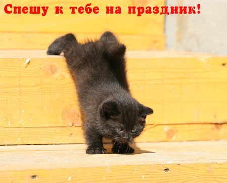 https://content.foto.my.mail.ru/mail/vyachser/_mypagephoto/i-32940.jpg