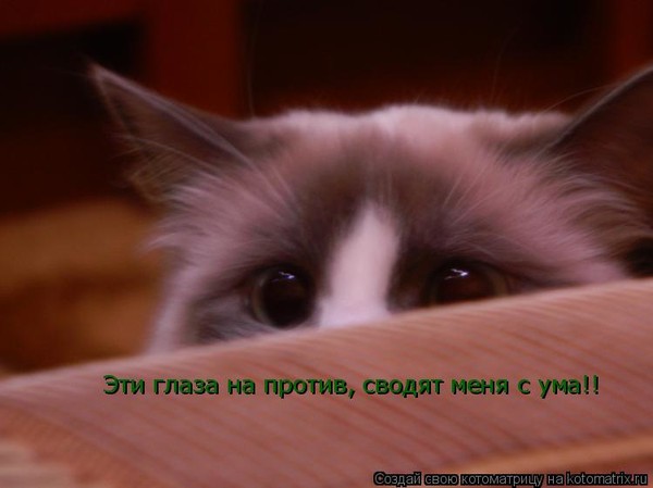 https://content.foto.my.mail.ru/mail/vyachser/_mypagephoto/i-33145.jpg