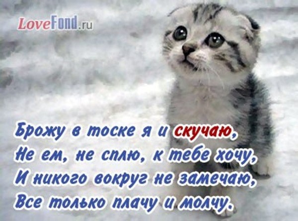 https://content.foto.my.mail.ru/mail/vyachser/_mypagephoto/i-36327.jpg