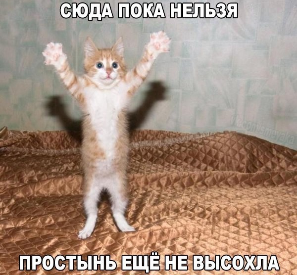 https://content.foto.my.mail.ru/mail/vyachser/_mypagephoto/i-36424.jpg