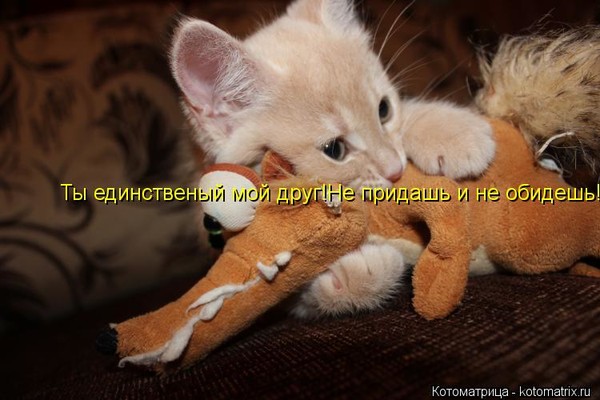 https://content.foto.my.mail.ru/mail/vyachser/_mypagephoto/i-37612.jpg