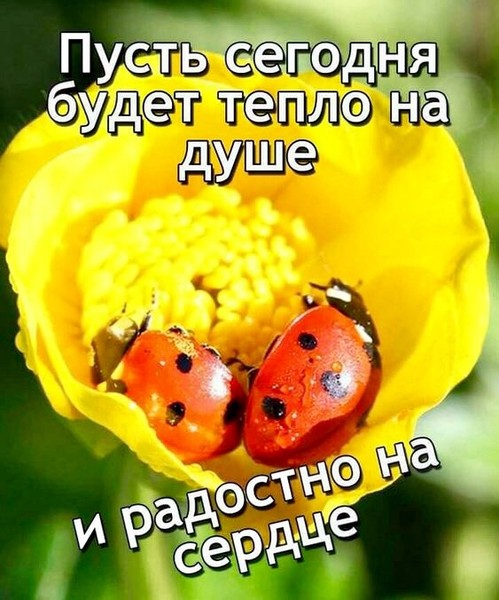 https://content.foto.my.mail.ru/mail/vyachser/_mypagephoto/i-40907.jpg