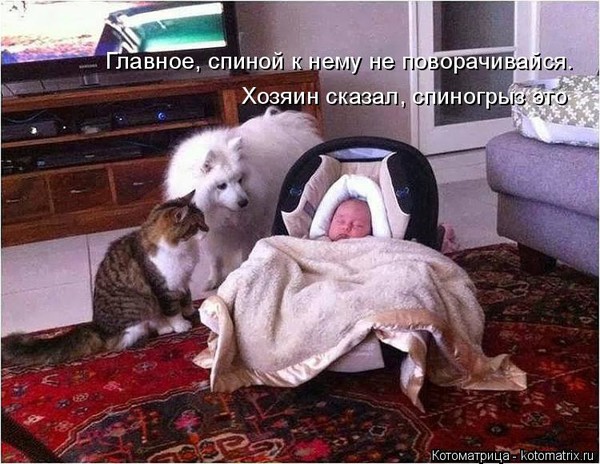 https://content.foto.my.mail.ru/mail/vyachser/_mypagephoto/i-41423.jpg