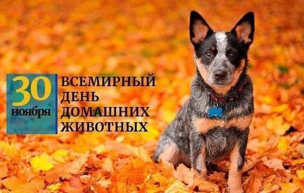 https://content.foto.my.mail.ru/mail/vyachser/_mypagephoto/i-42458.jpg