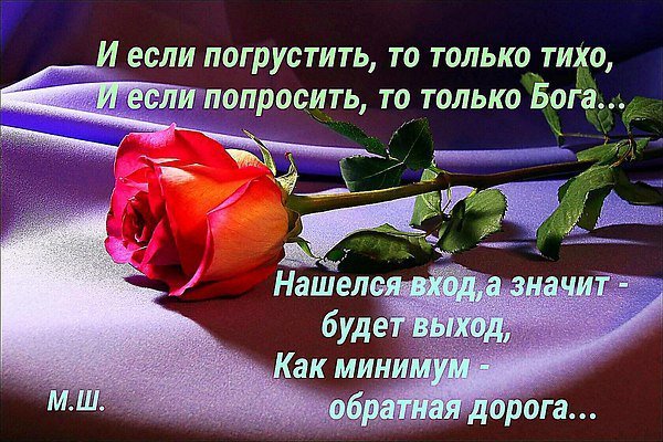 https://content.foto.my.mail.ru/mail/vyachser/_mypagephoto/i-54929.jpg