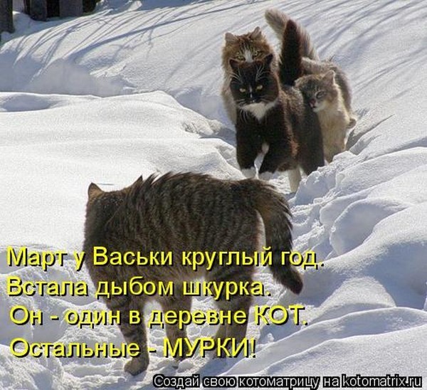 https://content.foto.my.mail.ru/mail/vyachser/_mypagephoto/i-63122.jpg