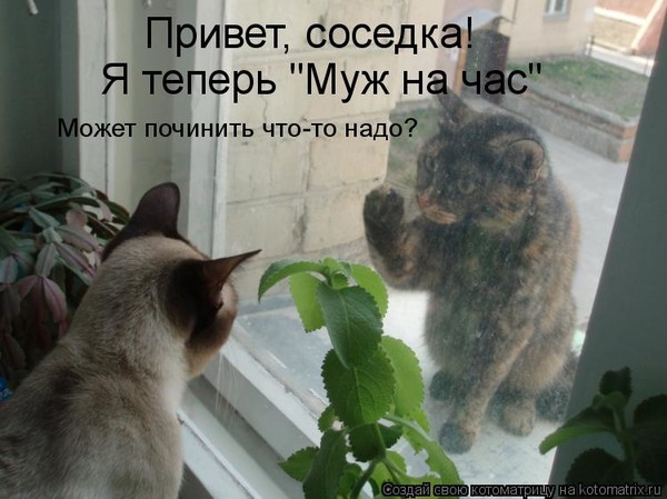 https://content.foto.my.mail.ru/mail/vyachser/_mypagephoto/i-73766.jpg