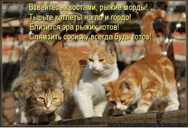 https://content.foto.my.mail.ru/mail/vyachser/_mypagephoto/i-75789.jpg