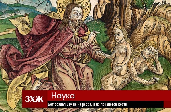 Картина ребро адама