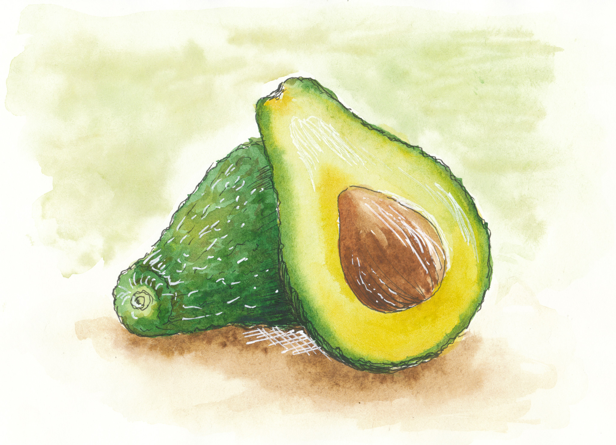 Рисунки еды авокадо